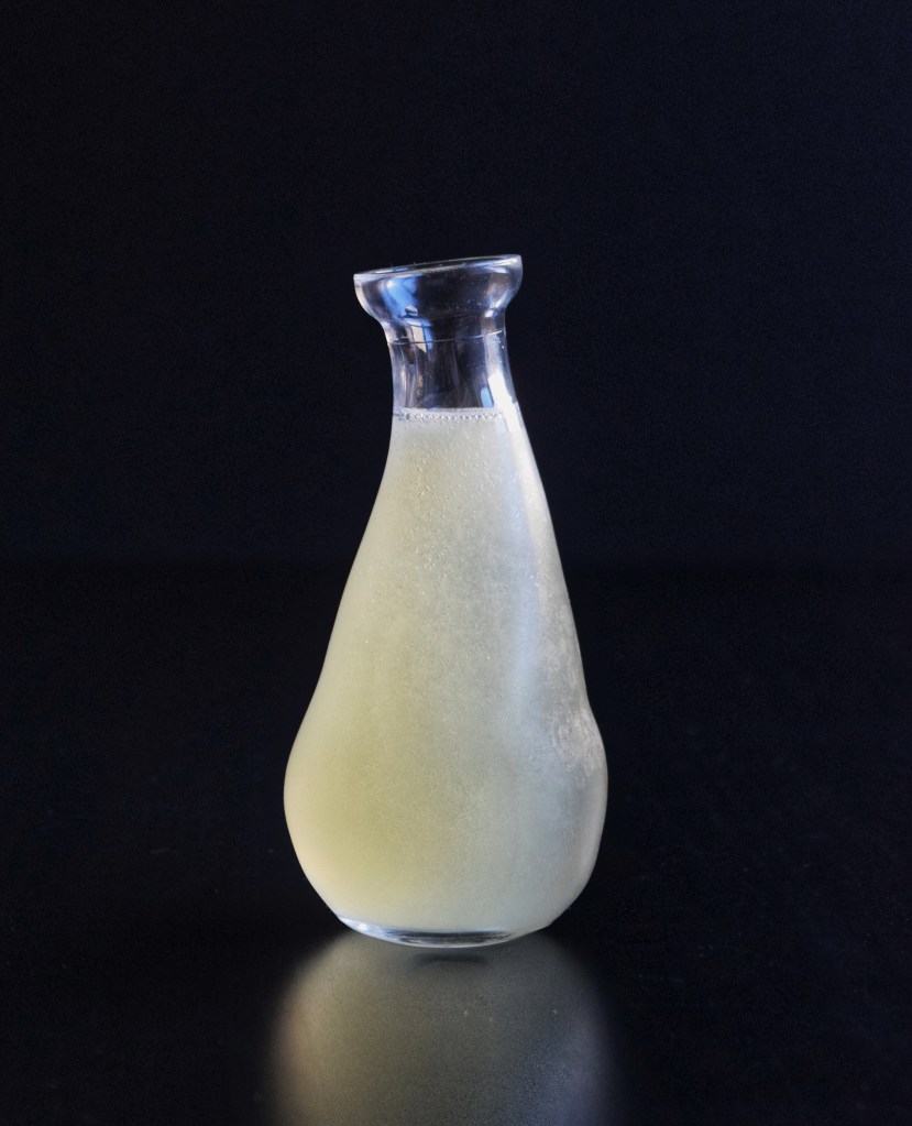 PIKUBYTES // Video Game Cocktails Witcher 3 Wild Hunt // Decoctions of the Grasses